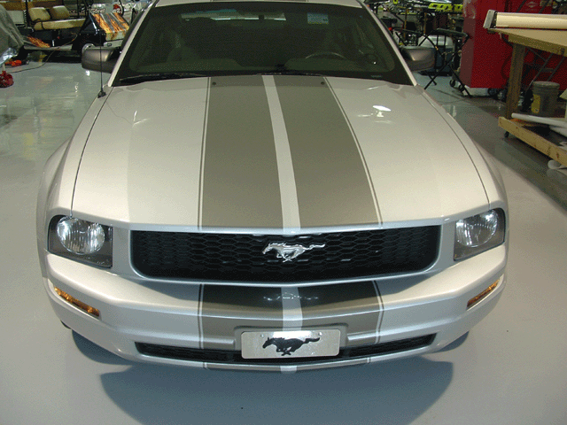 /i/CARS/2007-Mustang-2.gif